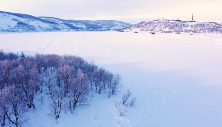 Aumega Metals Ltd-AAM-Snowy landscape with trees and hills.