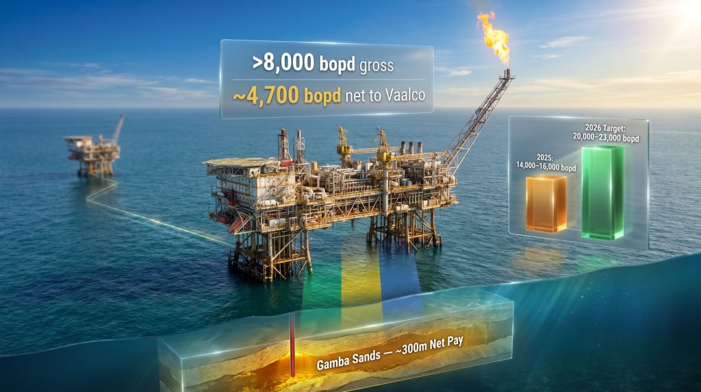 Vaalco Gabon Ebouri-5H well production platform graphic