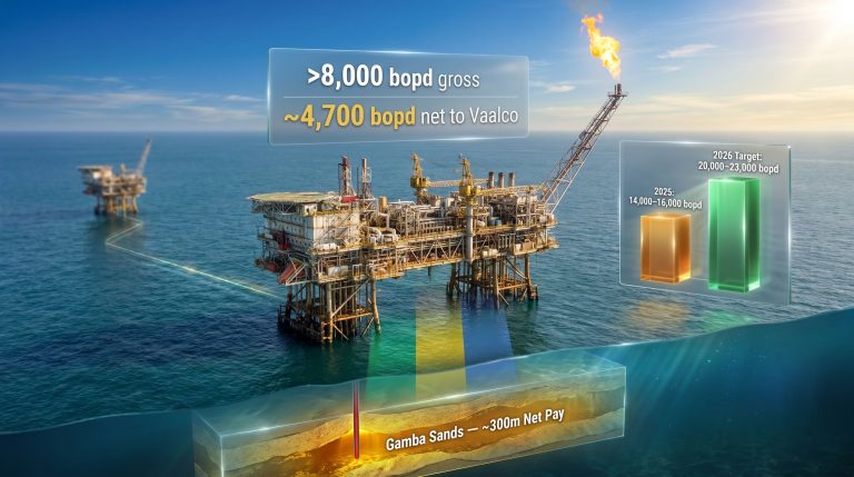 Vaalco Gabon Ebouri-5H well production platform graphic
