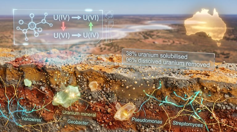 Microbes Unlock Uranium in Mine Waste: Key Risks