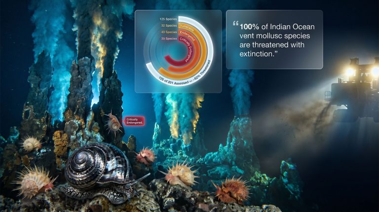 deep-sea mining threatens molluscs near vents