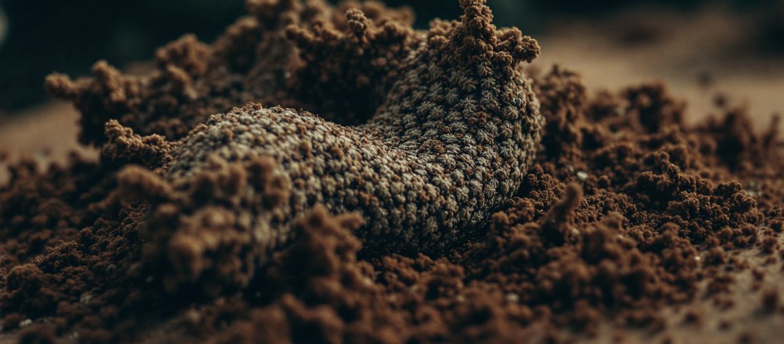 Infini Resources Ltd-I88-Close-up of a textured, curled-up caterpillar on a bed of brown soil.